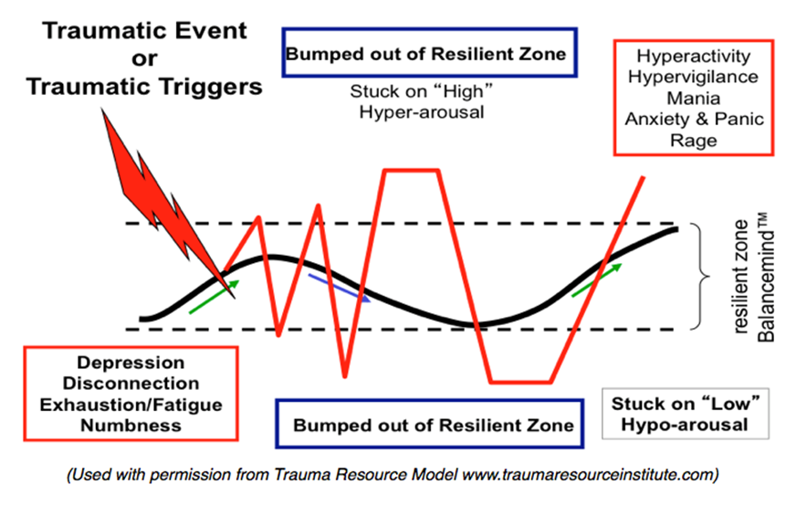 Resilient Zone