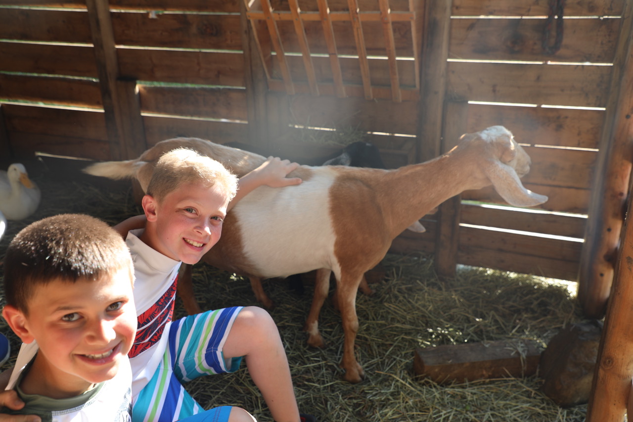 Berkshires farm