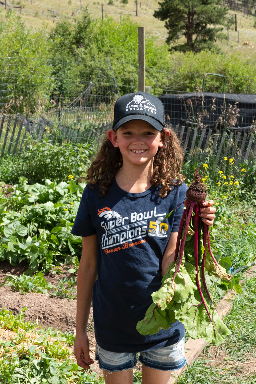 rockies farm